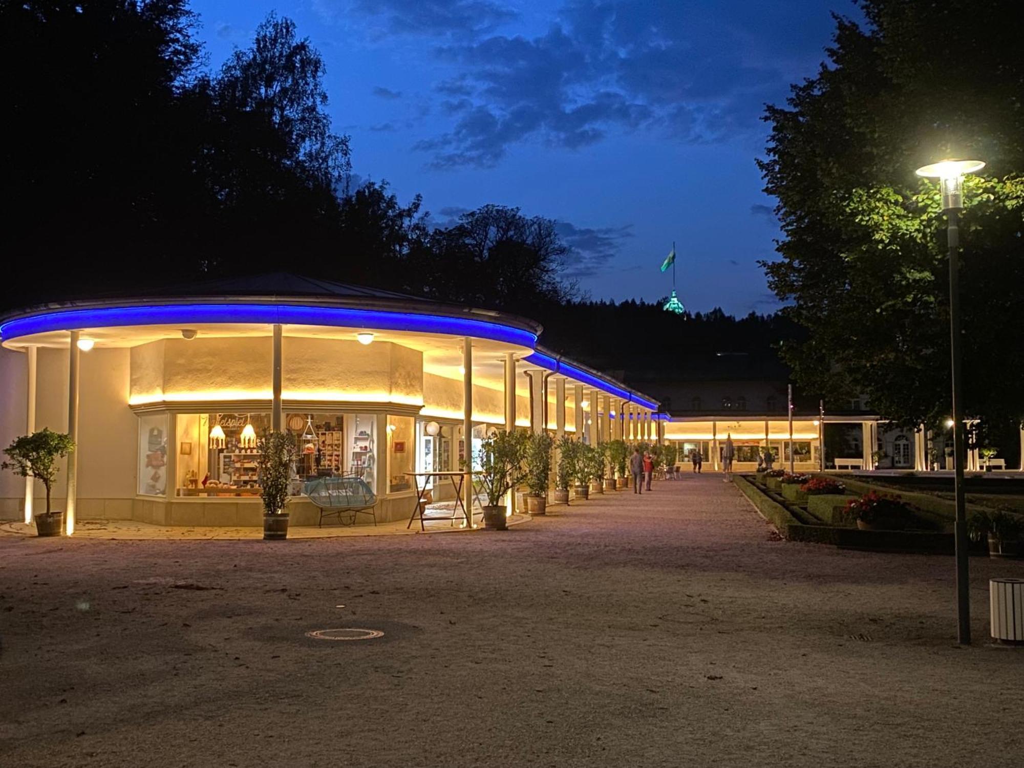 Fewo Roland Ranft Direkt Am Kurpark Barrierearm 60Qm Bad Elster Esterno foto